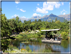 foto Giardini Trauttmansdorff - Giardini acquatici
